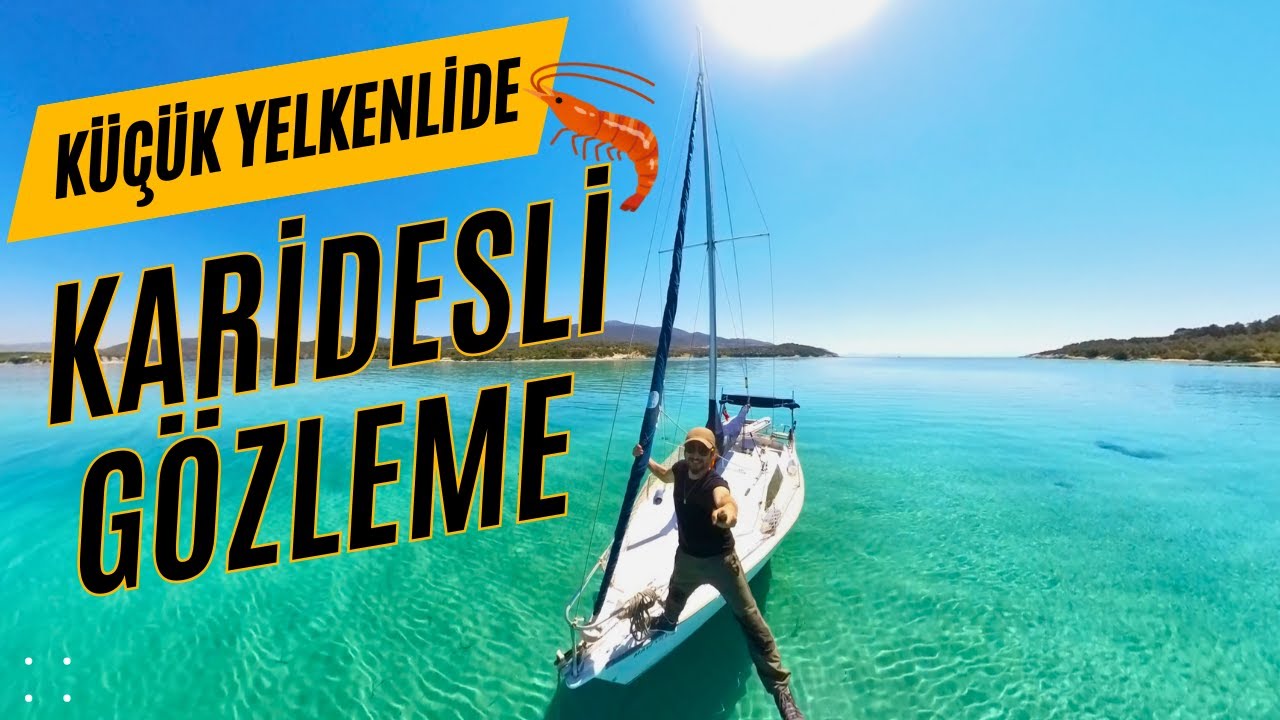 Küçük Yelkenlide Tek Başına - Karidesli Gözleme Yaptım  (80. Bölüm)