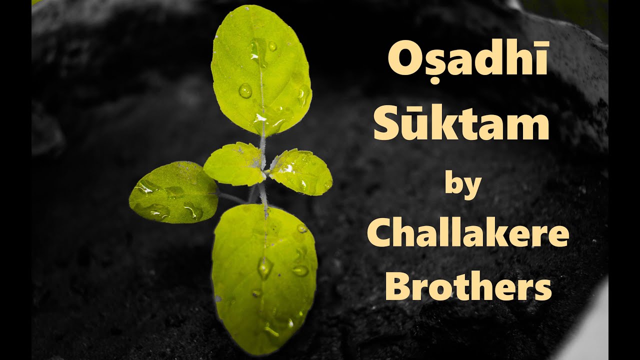 Oshadhi Suktam | Challakere Brothers