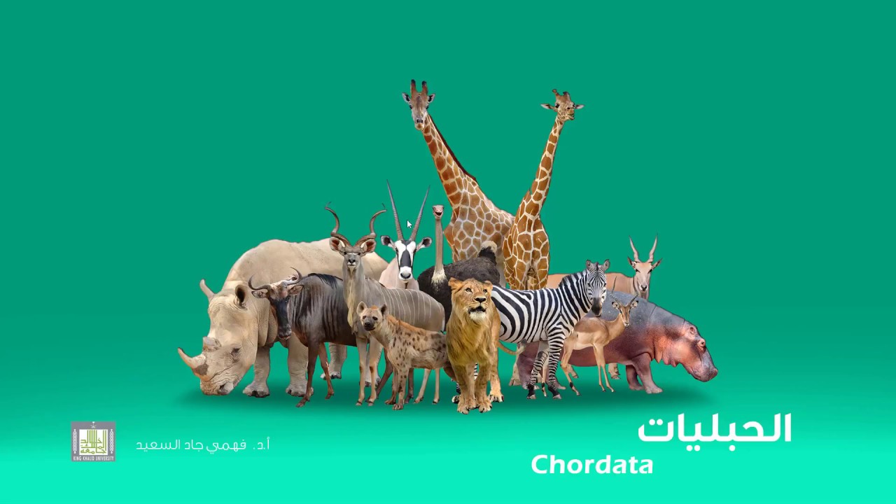الحبليات | الوحدة 8-1 | الأسماك العظمية - الصفات العامة