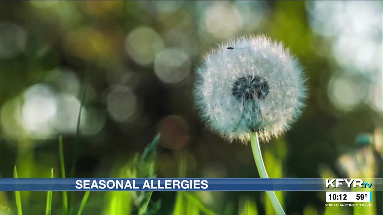 Allergy season hitting North Dakota