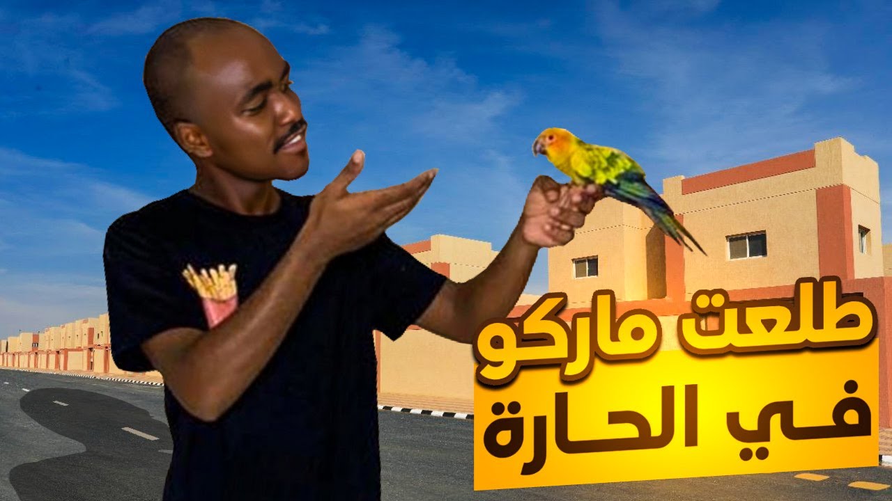 المستوى الاخير في الطيران الحر لماركو❤️🦜
