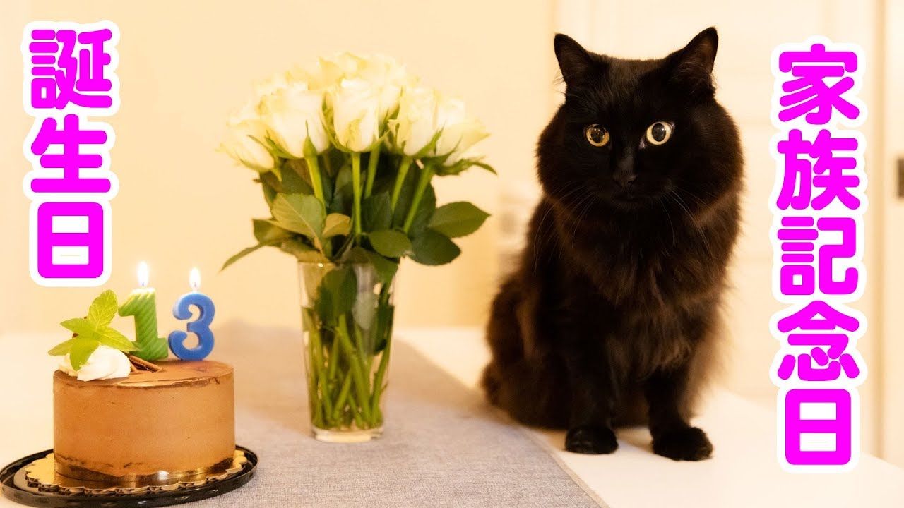 【祝】しおちゃんの１３歳の誕生日・家族記念日【特別ディナー】