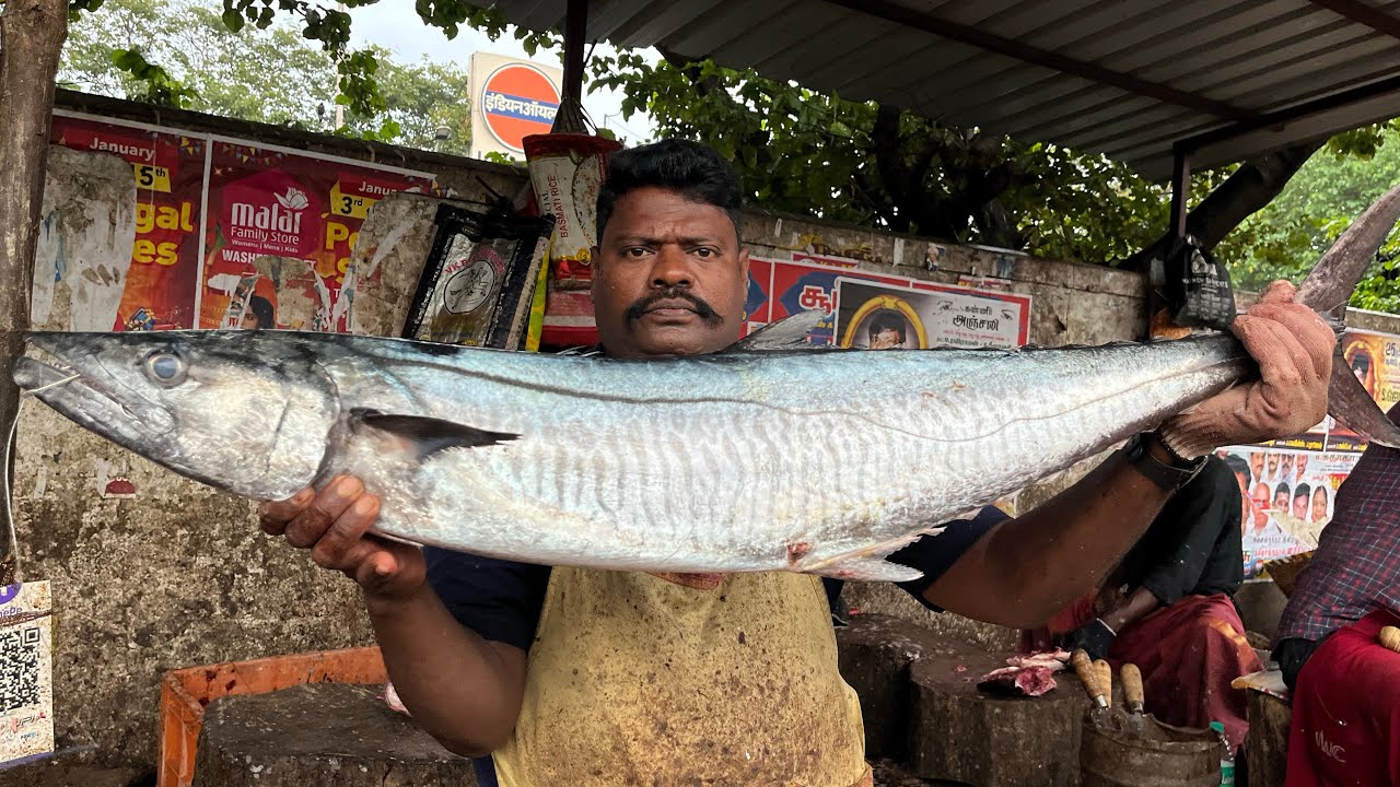 KASIMEDU SPEED SELVAM | HUGE KING SEER FISH CUTTING VIDEO | 4K VIDEO | KM FISH CUTTING