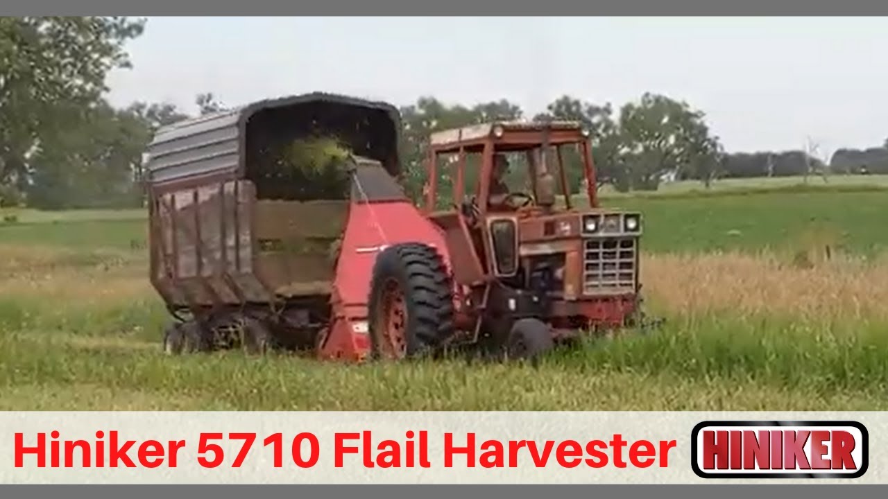 Hiniker 5710 Flail Harvester in Action | Chopping Green Forage or Shredding Crop Residues |