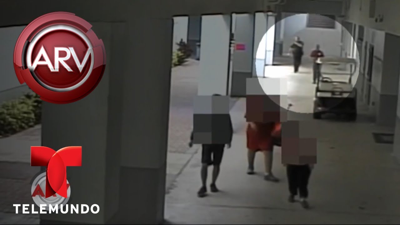 Video muestra policía fuera de matanza en Parkland | Al Rojo Vivo | Telemundo