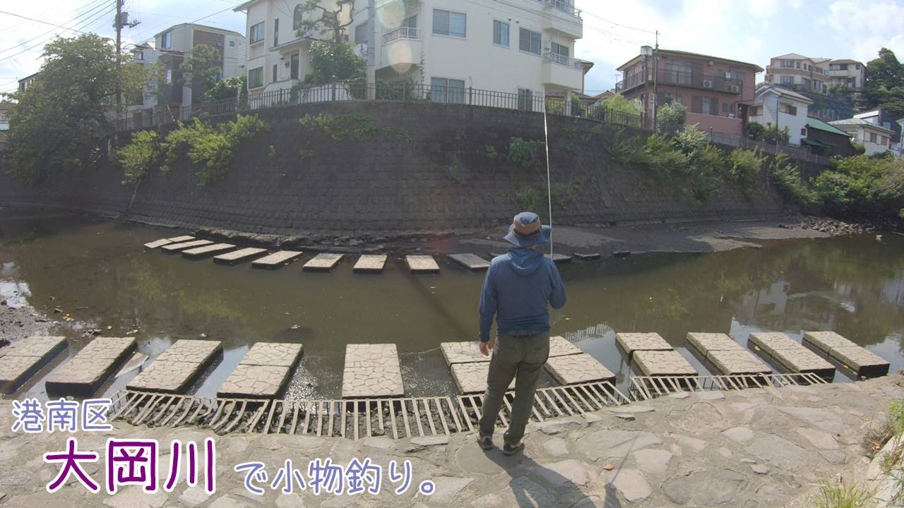 依頼釣査！何かが大量に群れてる川を釣査！ 港南区 大岡川で小物釣り。