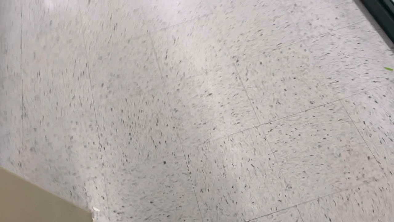 Donald Duck at Hobby Lobby Intercom Prank [KICKED OUT]