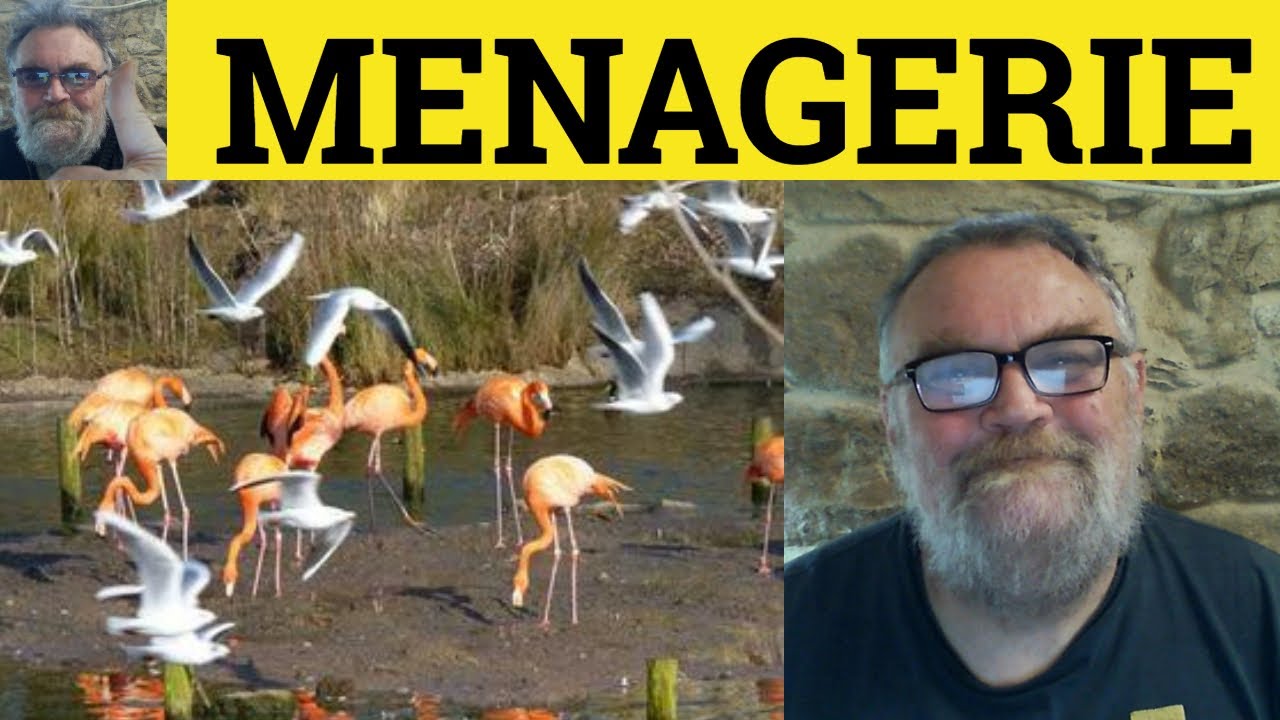 🔵 Menagerie Meaning - Menagerie Examples - Menagerie Definition - French in English - Menagerie
