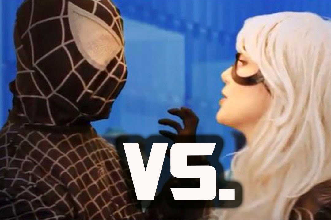 Black Spider-Man vs. the Black Cat