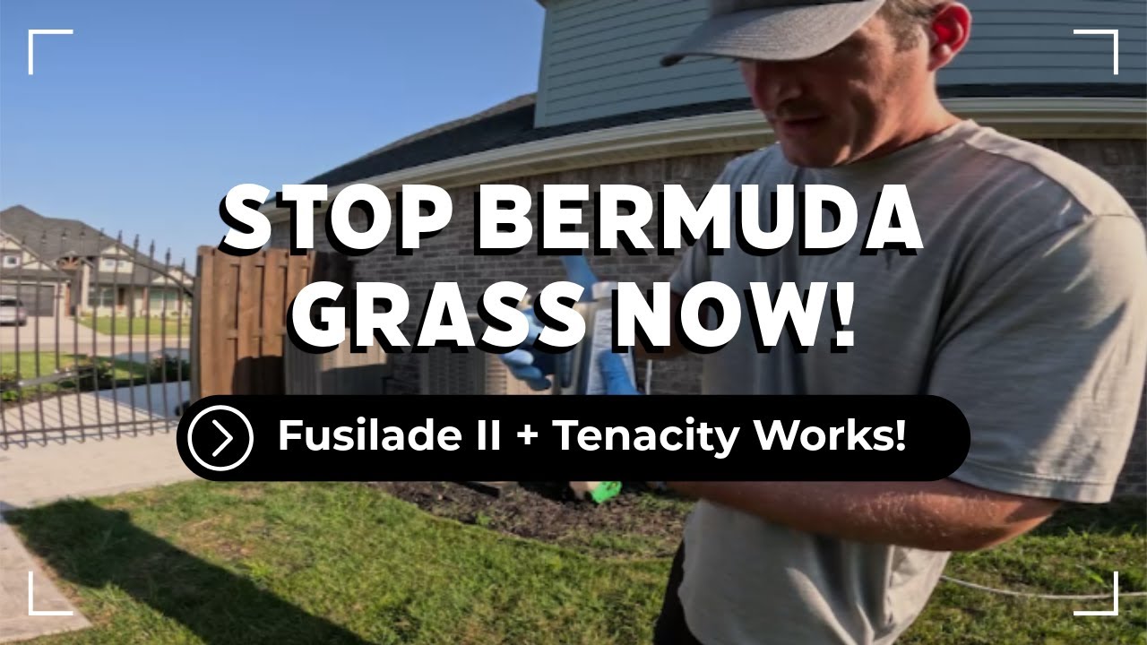 STOP Bermuda Grass in Its Tracks 🛑 Fusilade II + Tenacity
