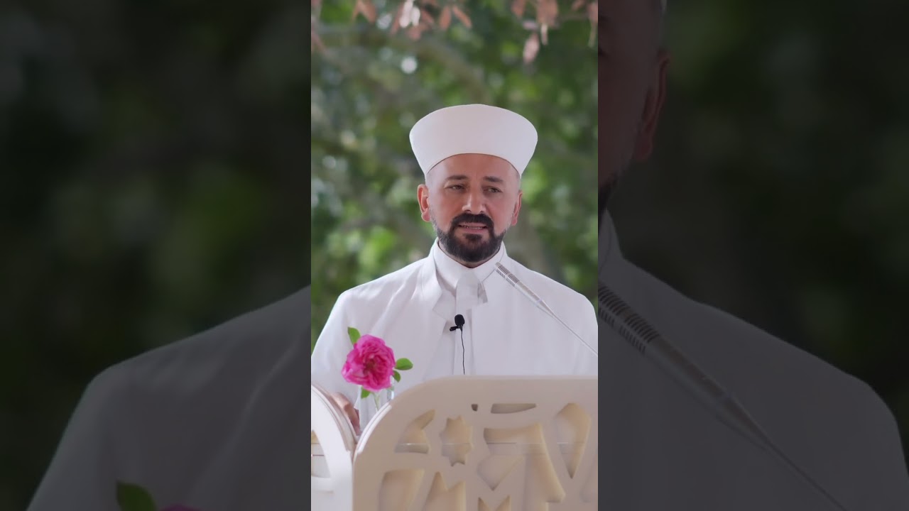 SOKAK HAYVANLARI YASASI: VİCDAN MI, KANUN MU?