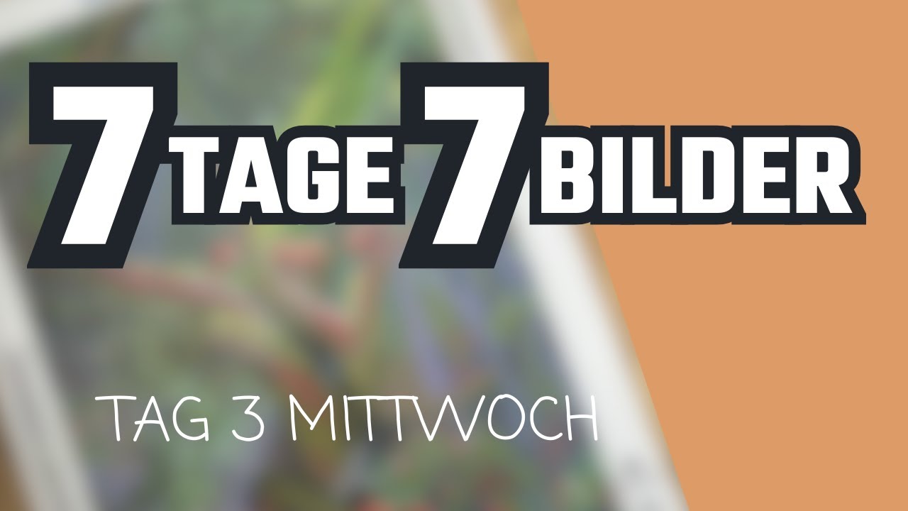 7 Tage – 7 Bilder | Mittwoch – Tag 3 – Das ist mir so auch noch nie passiert. 💭