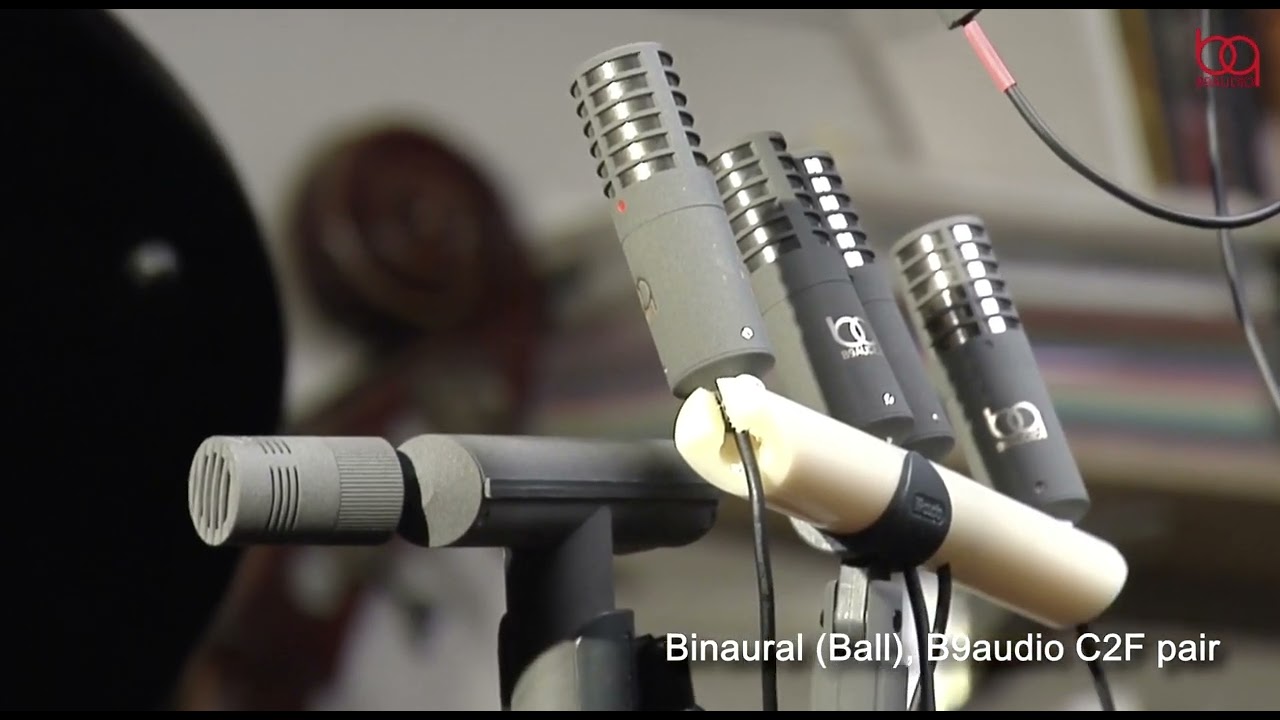 Stereo microphone, ORTF, Blumlein, XY, Binaural, MS stereo