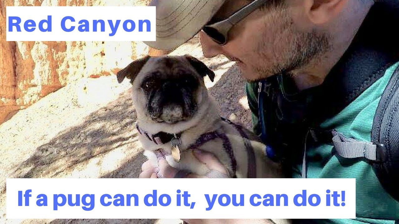 Hiking Pink Ledges and Birdseye Trails at Red Canyon with Lexi
