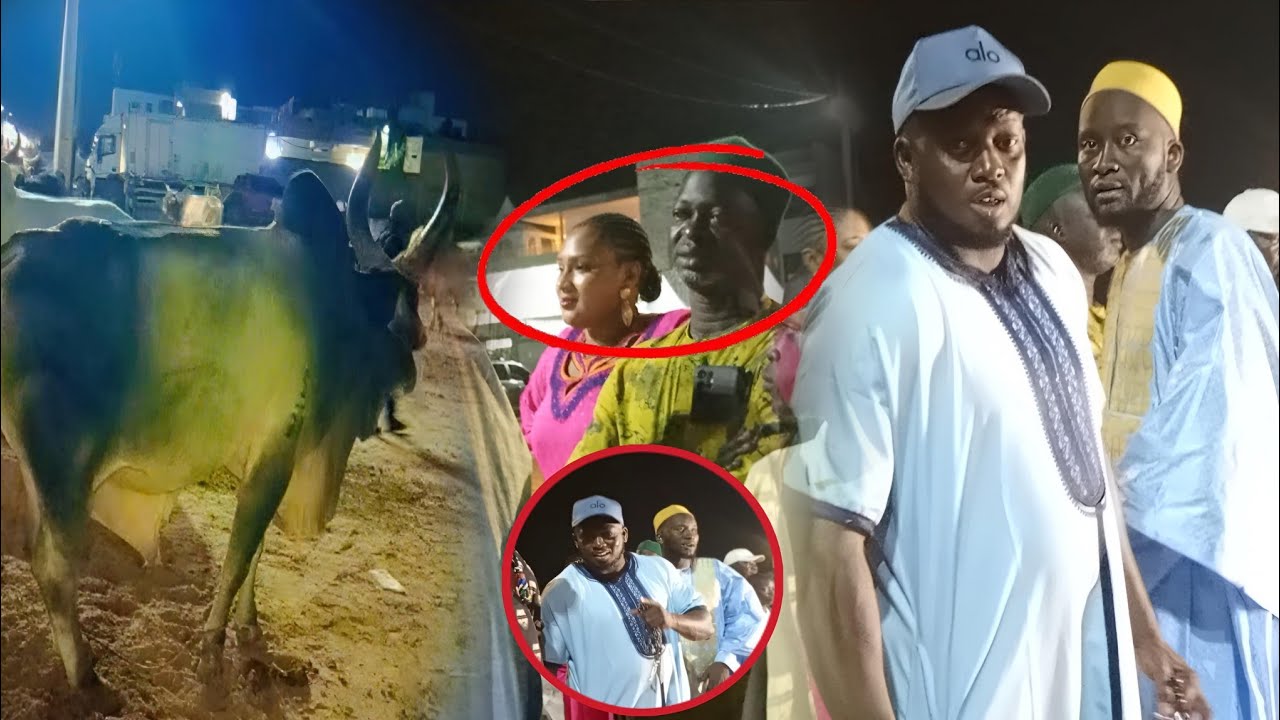 MISS NDIAYE ET OUSTAZ MODOU FALL SUR ARRIVÉE DES GROS BOEUF CHEZ AZIZ NDIAYE GAMOU 2025 