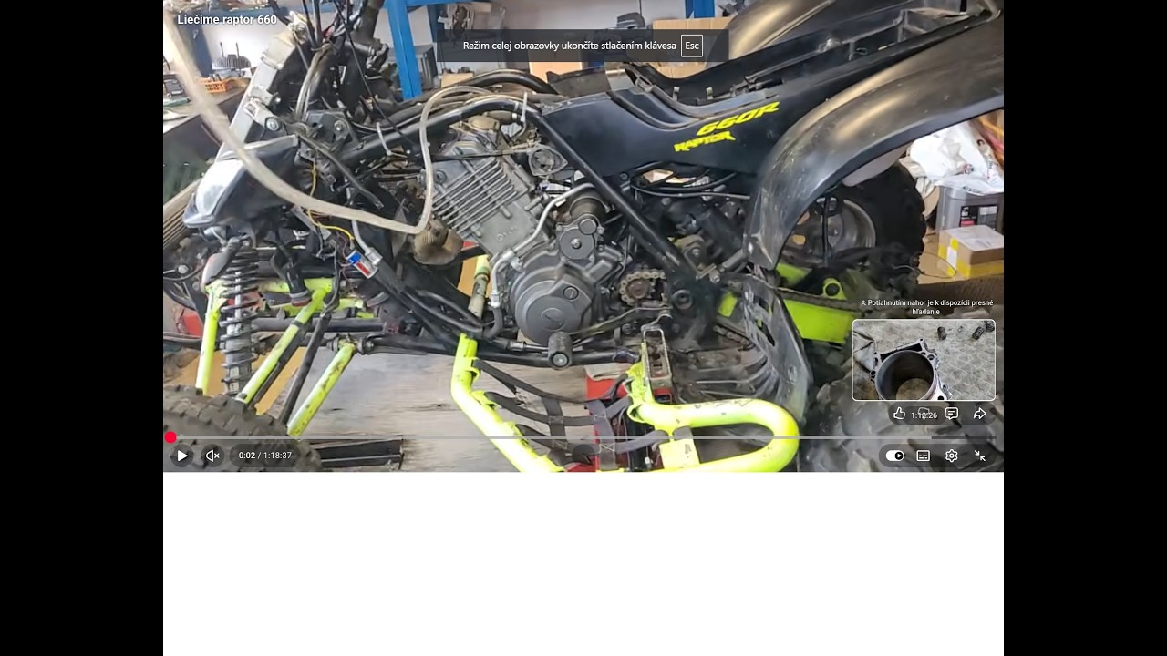 Liečime raptor 660 deň 1