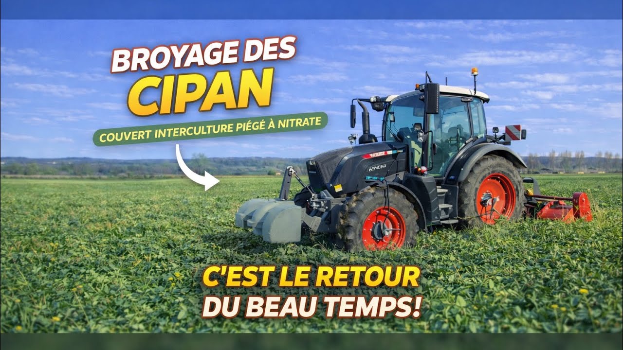Destruction des couverts… enfin du beau temps 🥰