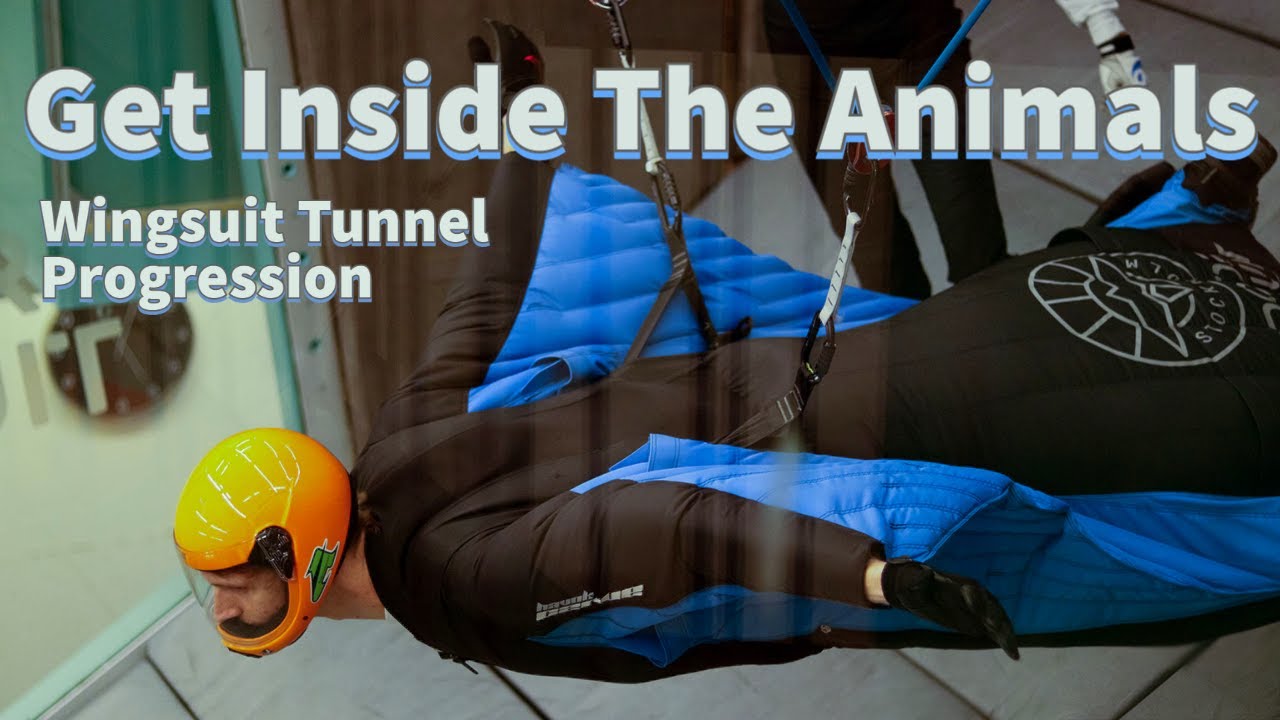 Get Inside The Animals - Wingsuit Tunnel Progression