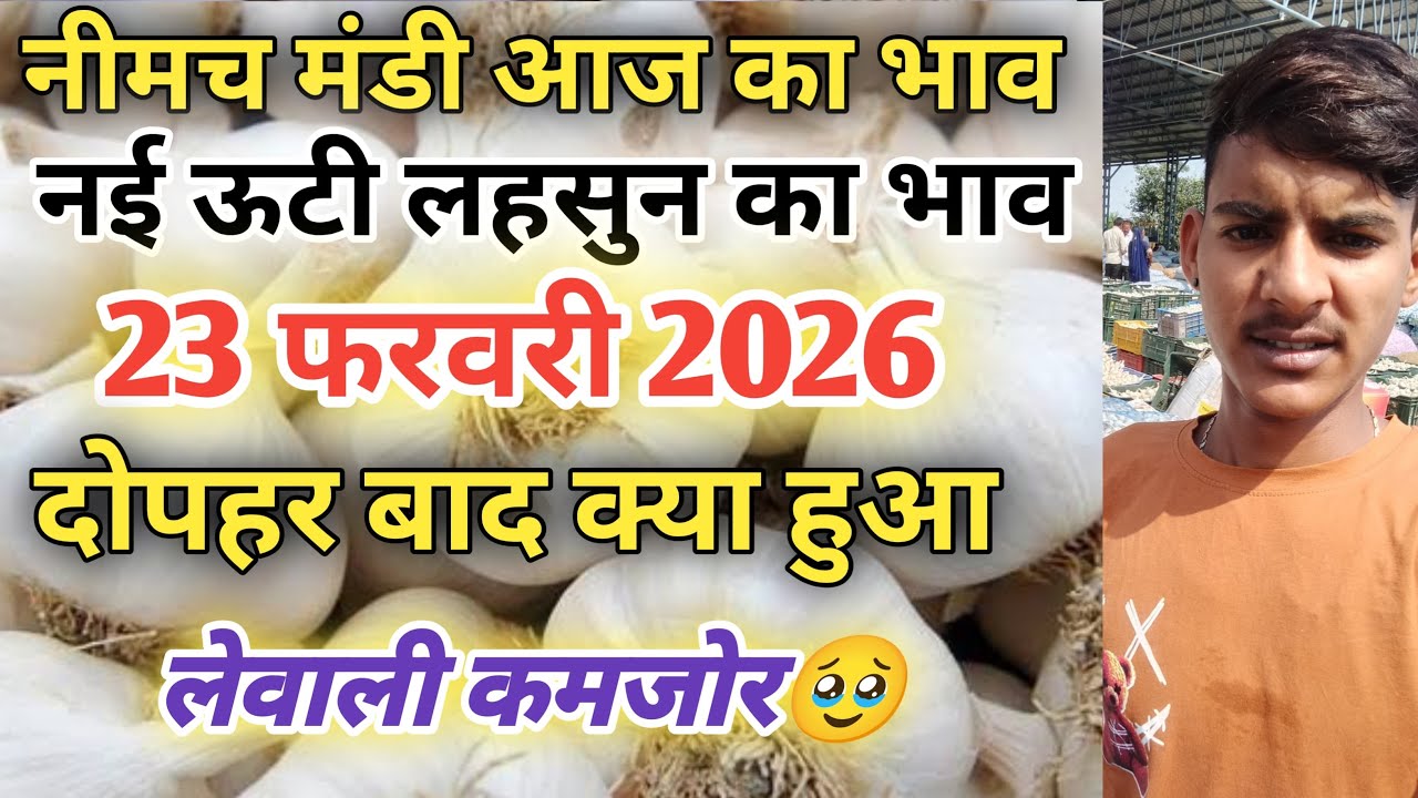 नीमच मंडी आज का नई लहसुन का भाव  / Neemuch mandi bhav today /Neemuch mandi lahsun bhav