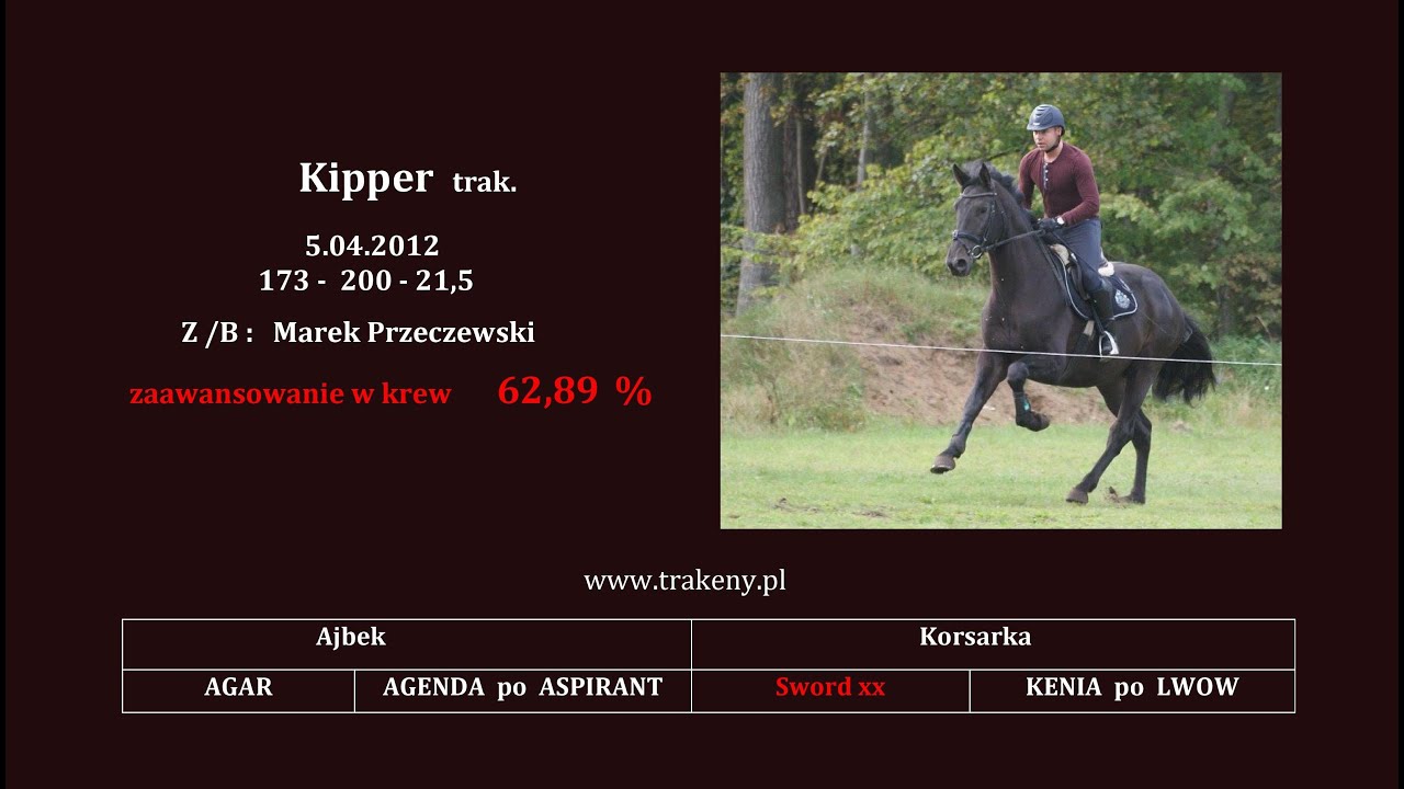 KIPPER  trak.   5.04.2012  Ajbek, Korsarka po Sword xx