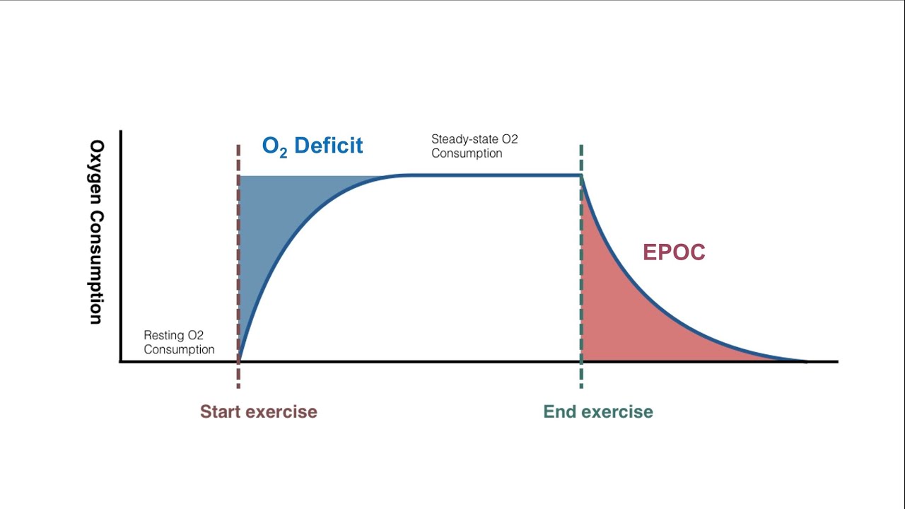 EPOC: Excess Post Exercise Oxygen Consumption