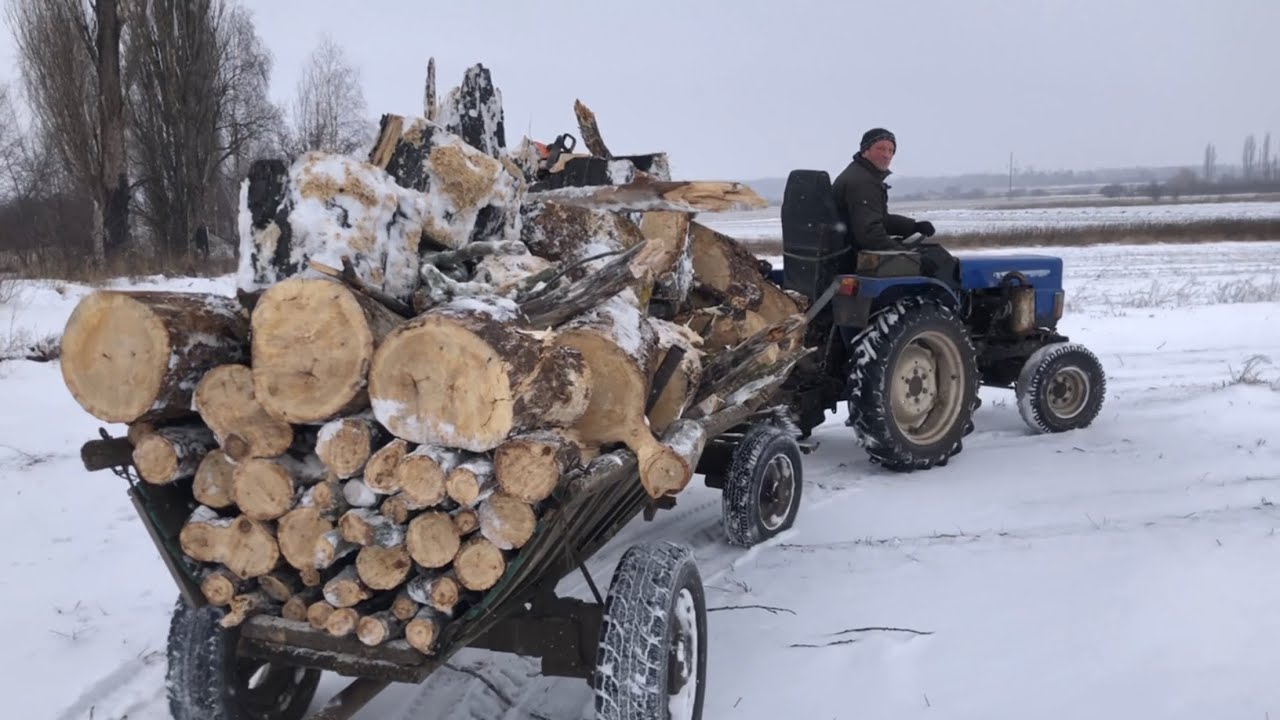 Де ми беремо БЕЗКОШТОВНІ ДРОВА взимку, та чи законно це?