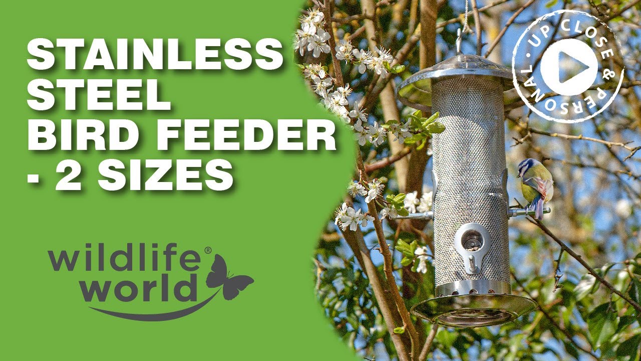 STAINLESS STEEL BIRD FEEDER - 2 SIZES VIDEO