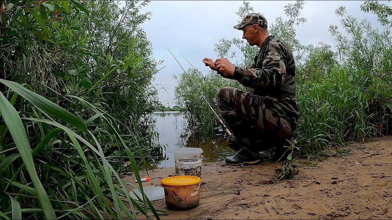Рыбалка на ФИДЕР ИЮНЬ!!! Река Неман!!!