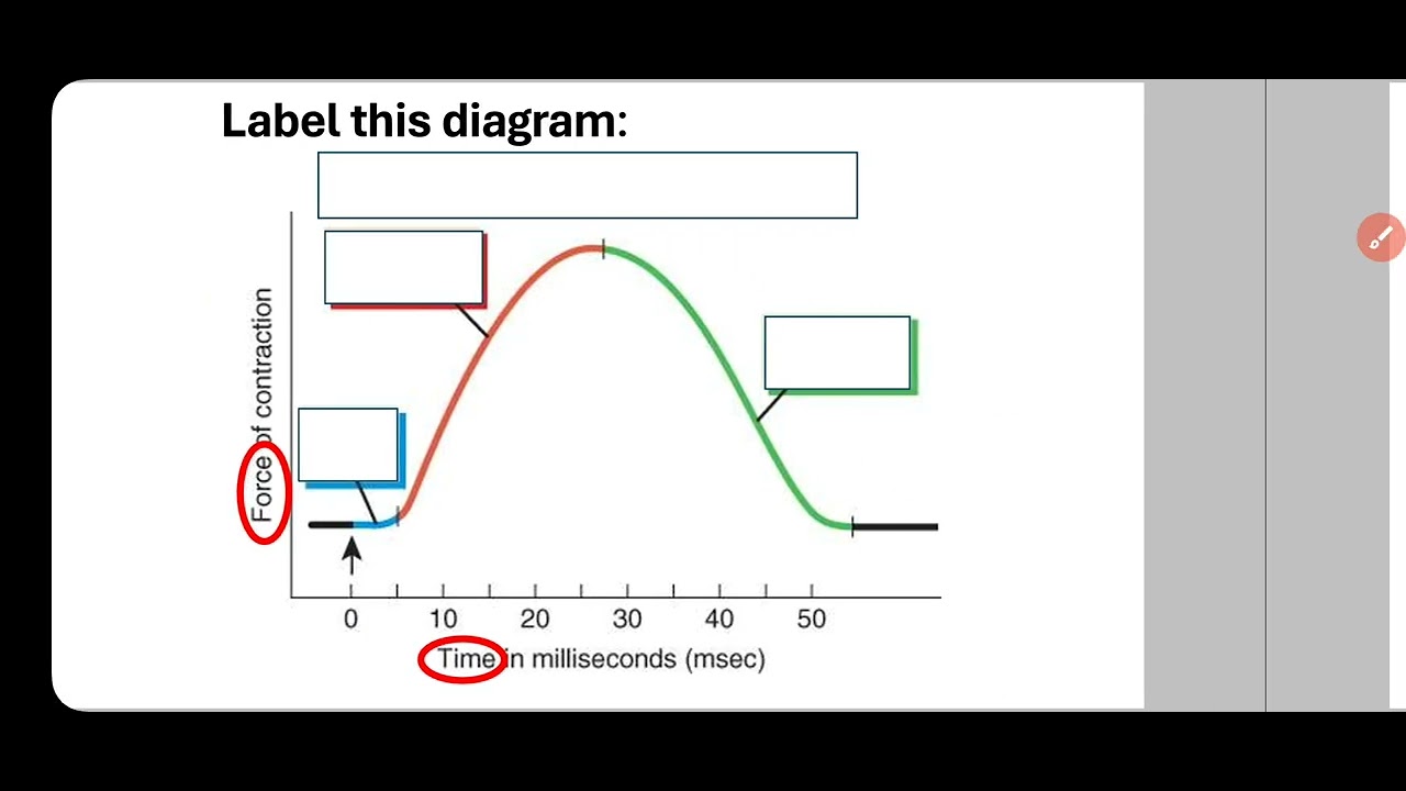 Practical physiology, LCS