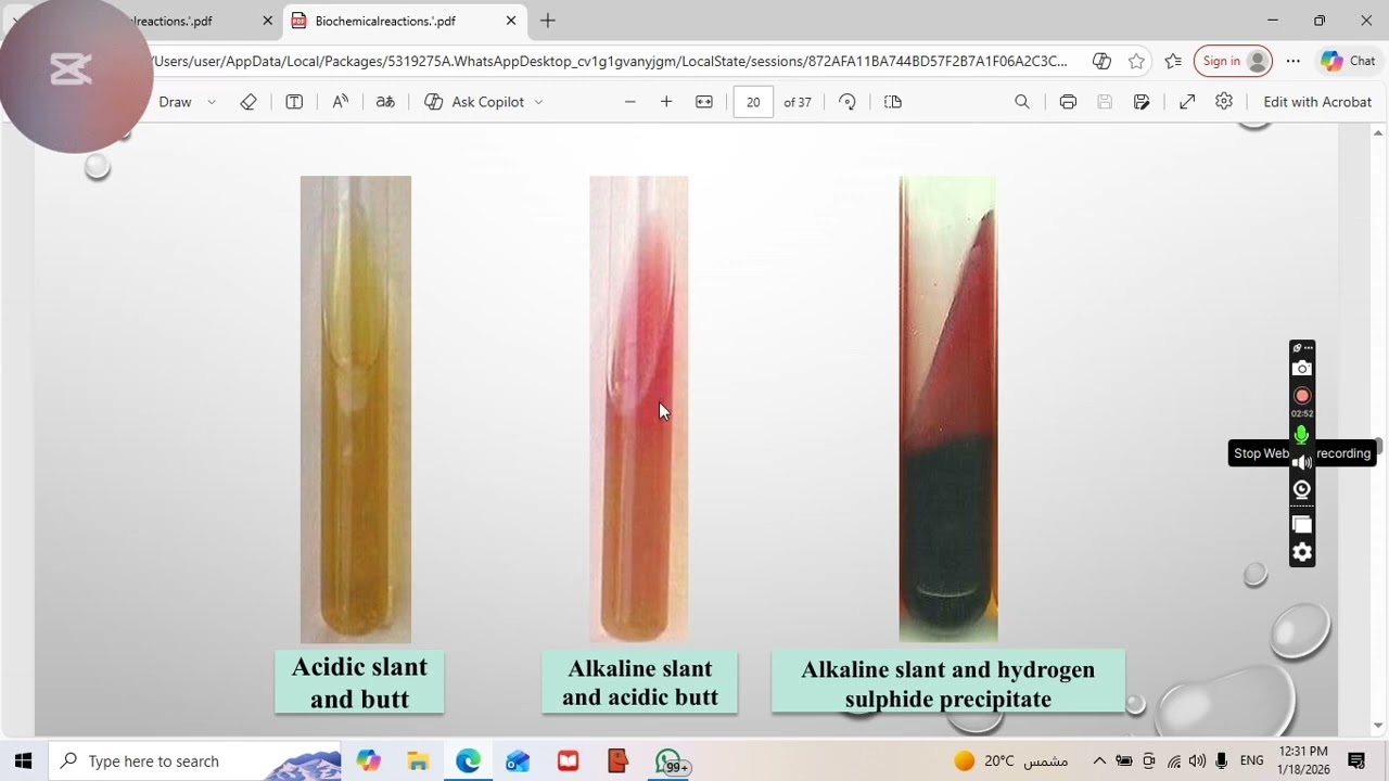 Biochemical reaction