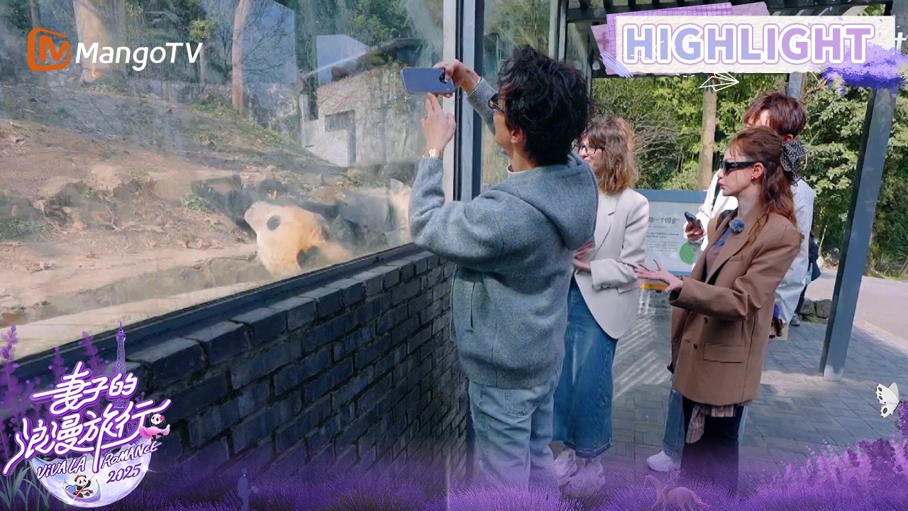 【未播Highlight】熊猫基地达达叻叻青仔亮相 卢靖姗为了近距离看大熊猫建议跳车  |《妻子的浪漫旅行2025》Viva La Romance 2025 | MangoTV