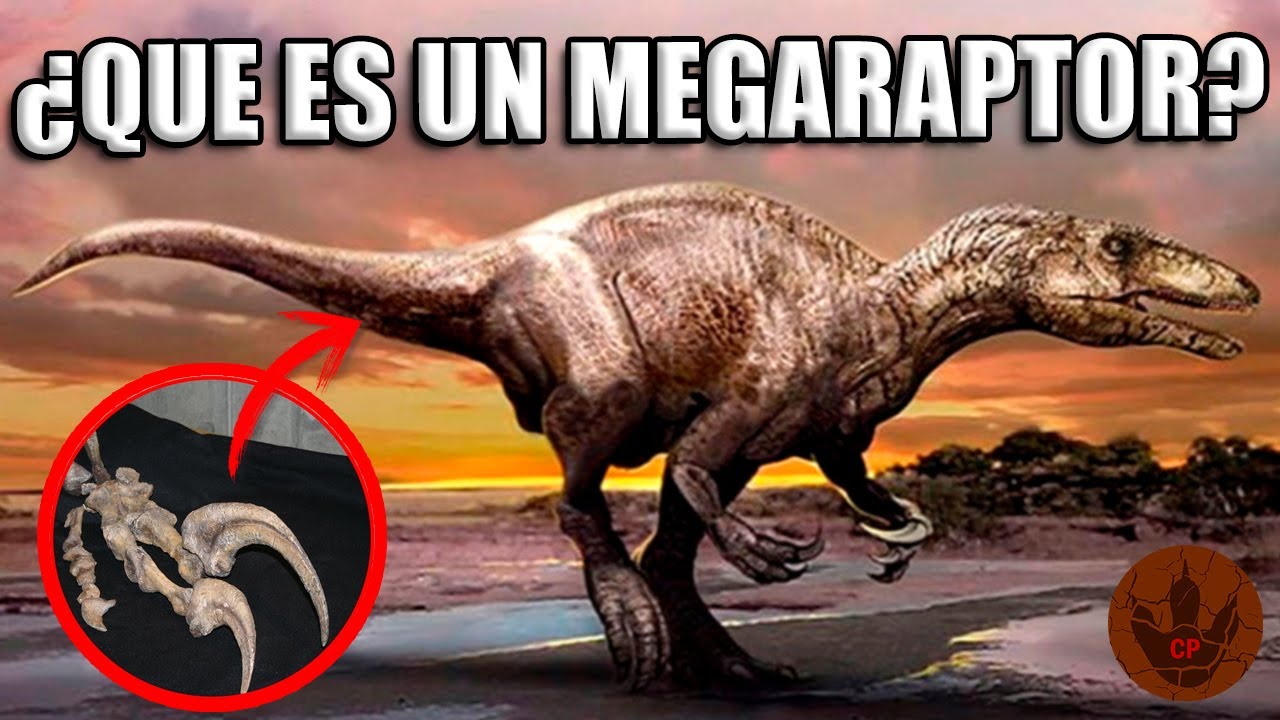 ¿QUÉ ES UN MEGARAPTOR?
