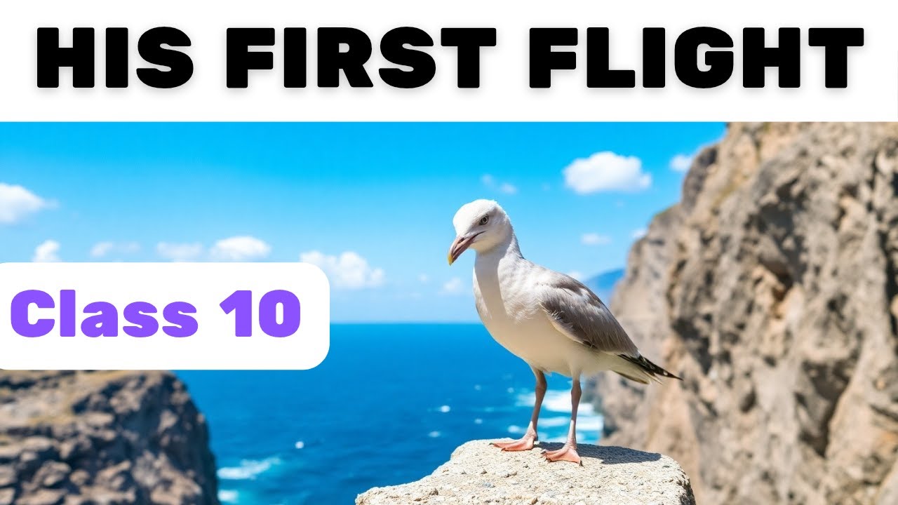 Two Stories About Flying Class 10 CBSE | His First Flight | Part 1 | Short Summary | English