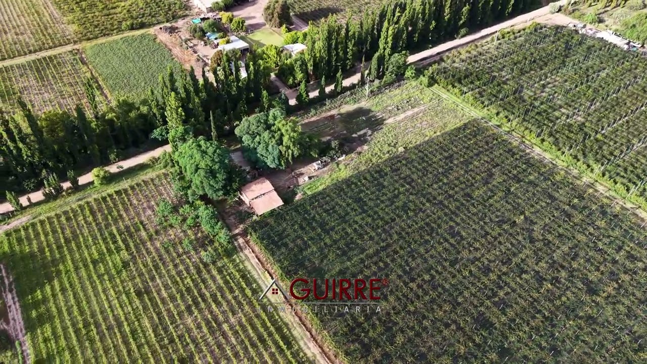 Venta Finca 5,5 Hectáreas en Producción