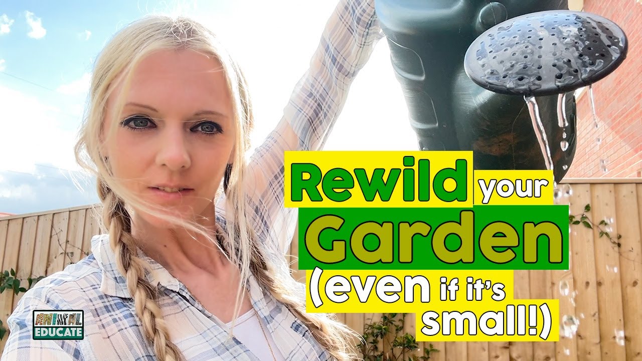 Rewild Your Garden (even if it's small!)