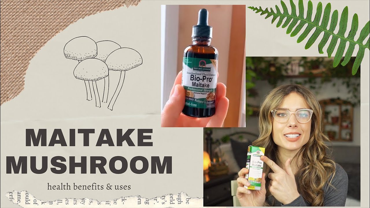 Health Benefits of Maitake Mushroom