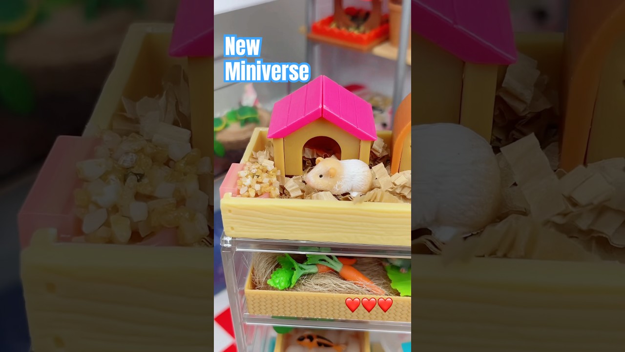 Make a Bigger Home For My Miniverse Guinea pigs ❤️ #miniverse #miniature #miniverseanimals #shorts