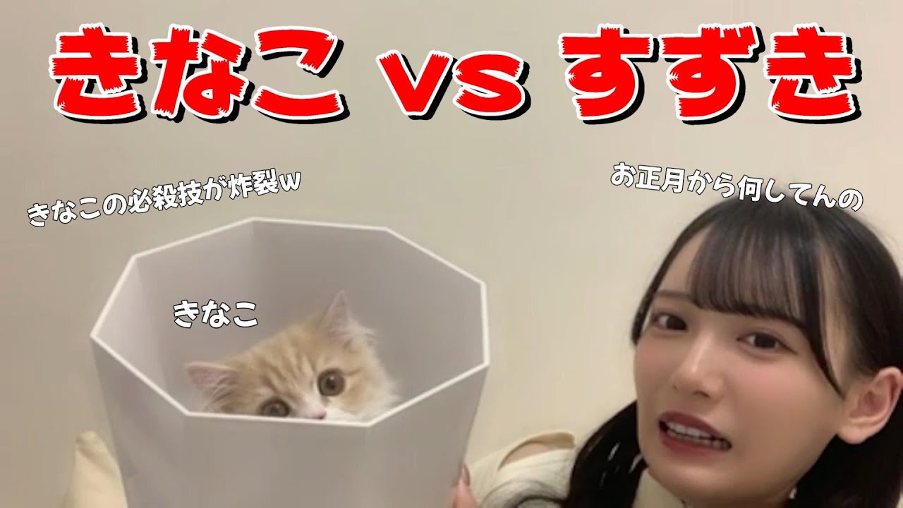 【鈴木瞳美】きなこ vs すずき　～ 年明け ゴミ箱バトル！ お正月から何やってんのｗ ～