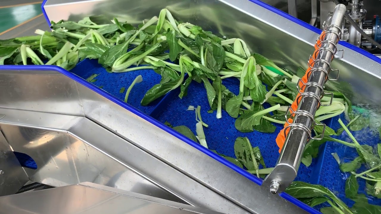 Small vegetable and fruit washer