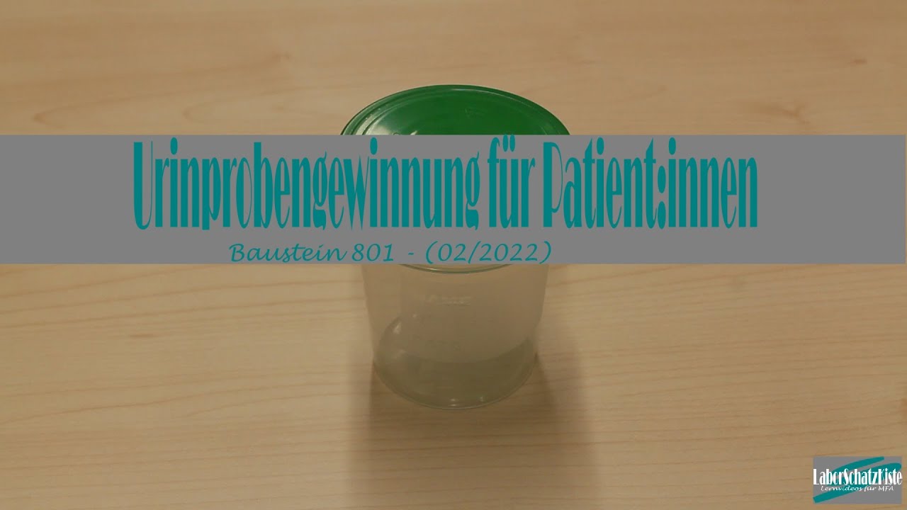 Urinprobe gewinnen