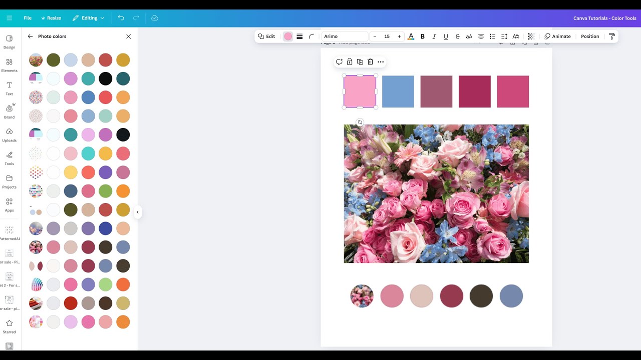 The best color tools in Canva for quickly creating color palettes