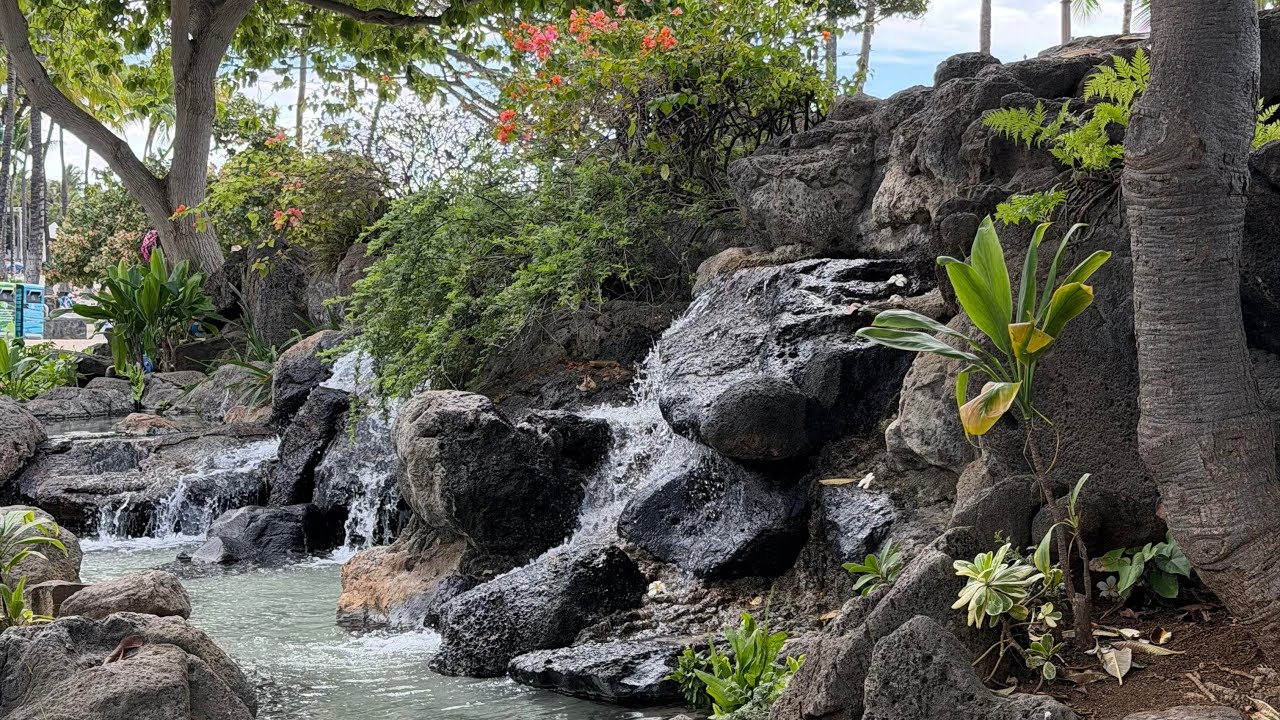 hawaii.mov