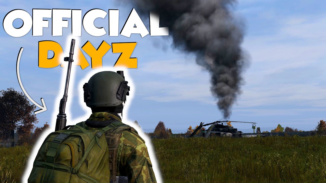 I Played DayZ Vanilla On OFFICIAL Servers So You Don't Have To!