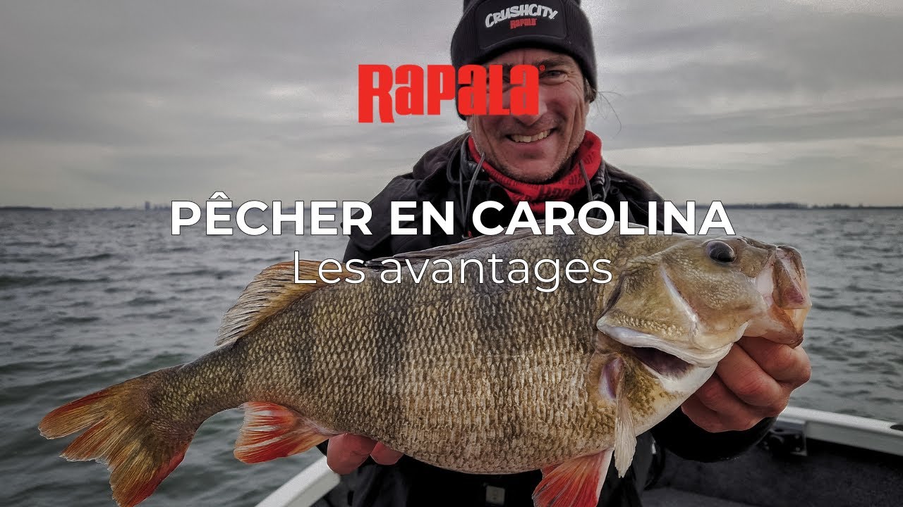 Comment pêcher en Carolina ? Tutoriel avec Alban Choinier
