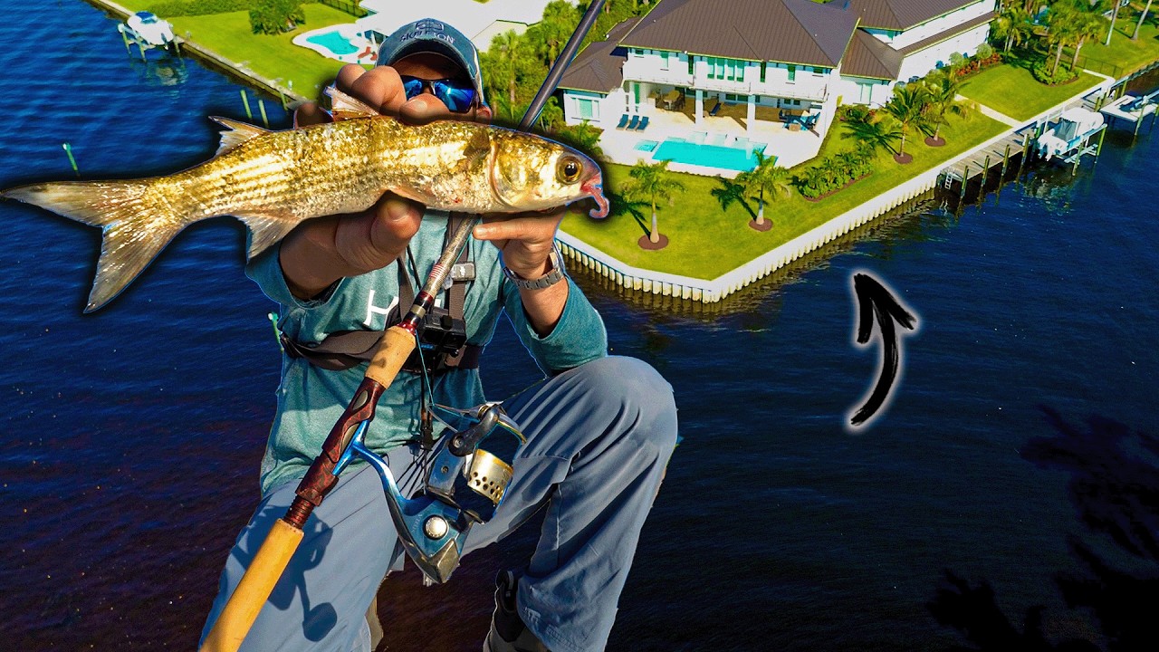 I Fished Seawalls For 7 Days... Here's What Happened