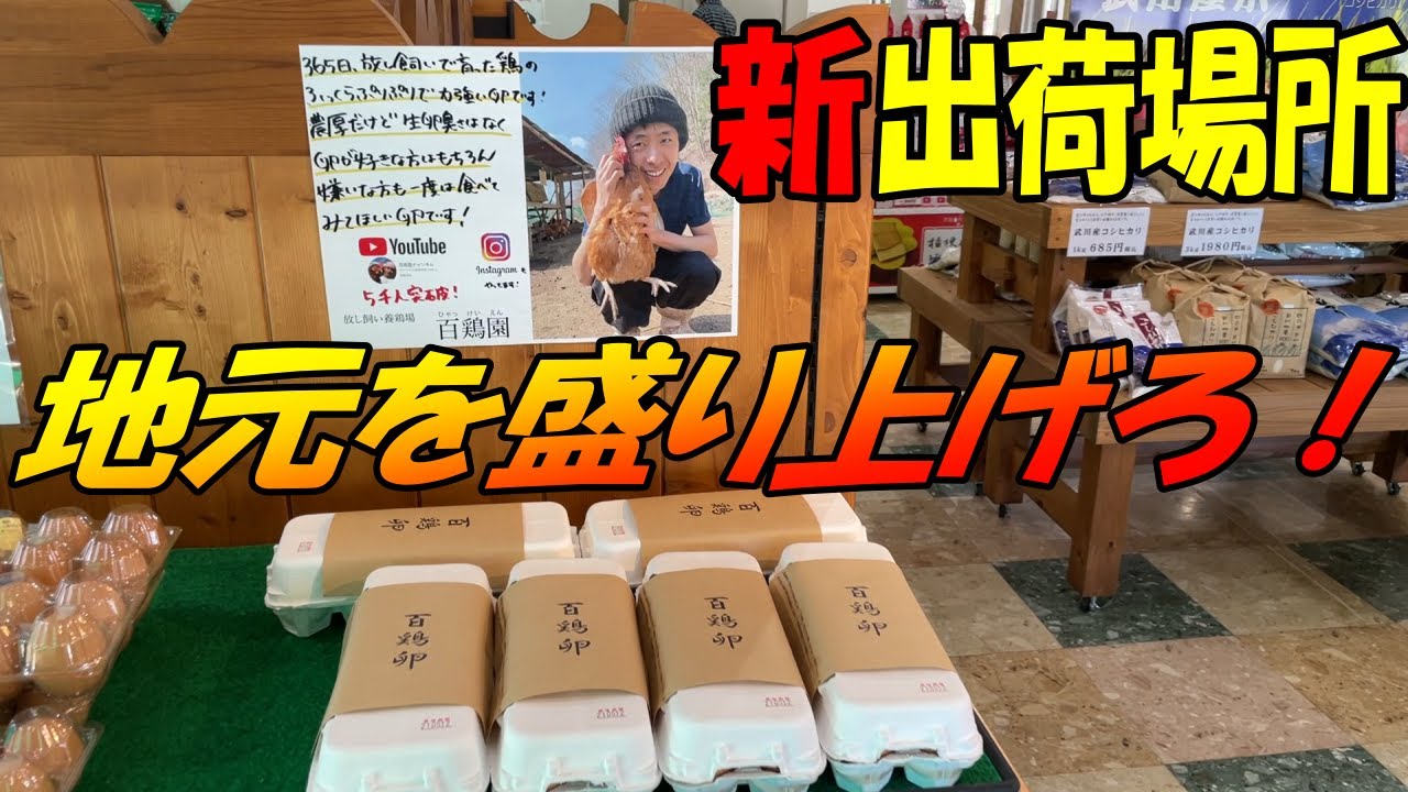 「おいしい市場」の出荷が新たに決まりました！【百鶏園の出荷情報】