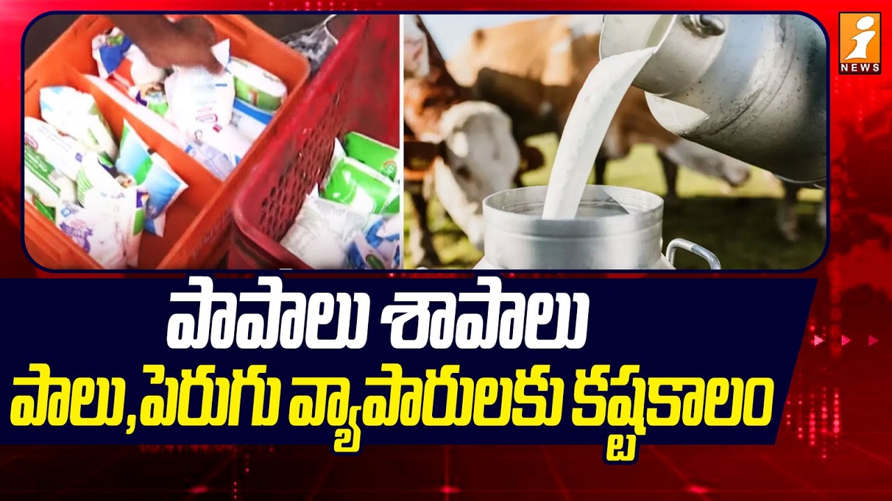 పాపాలు శాపాలు పాలు, పెరుగు వ్యాపారులకు కష్టకాలం | Rajahmundry Milk Adulteration Case | iNews