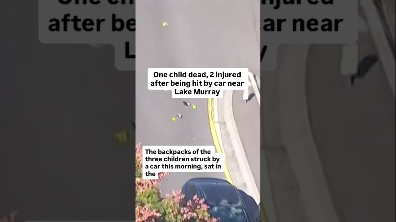 One child dead, 2 injured after being hit by car near Lake Murray