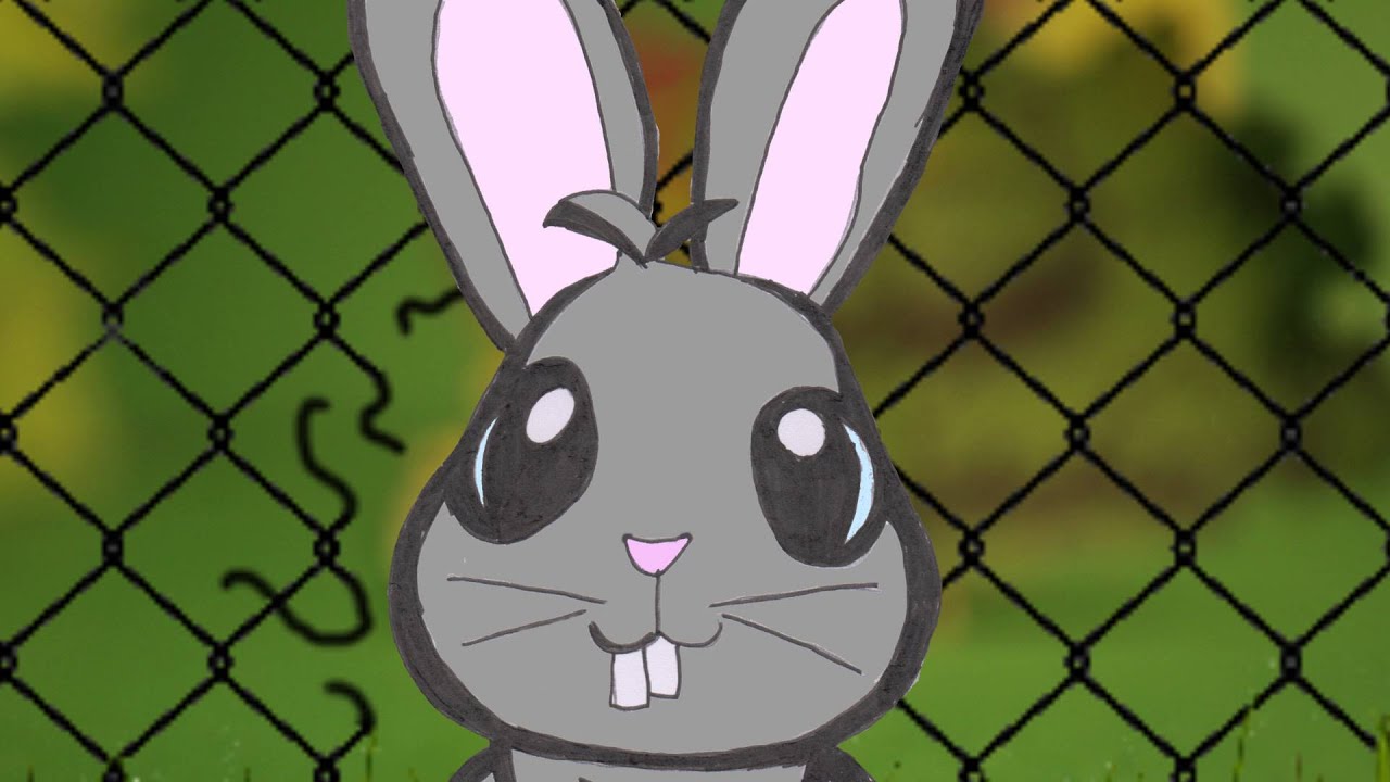Zeka peka (Funny bunny)