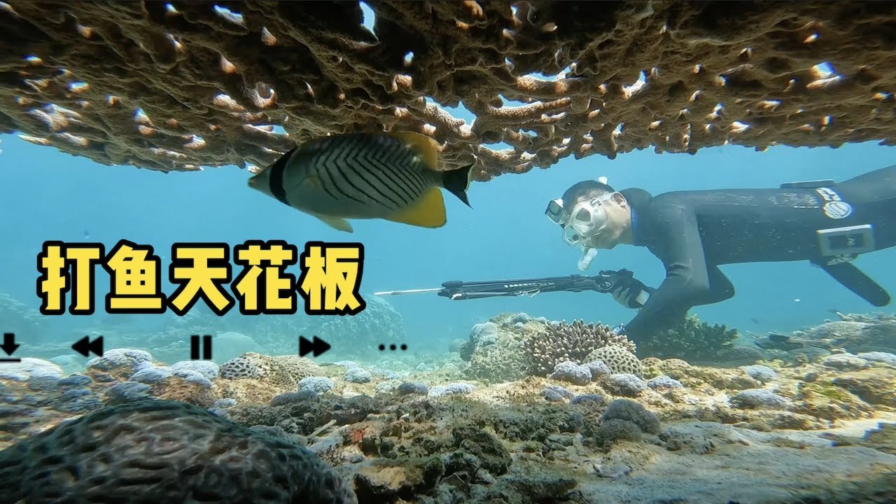 《环球探海记》阿曼 第45天：今天潜水碰到大货，居然把渔枪都给扯断啦，幸亏后美德来帮忙修复好！   #自由潜渔猎 #阿曼马西拉岛 #海鲜美食猎奇